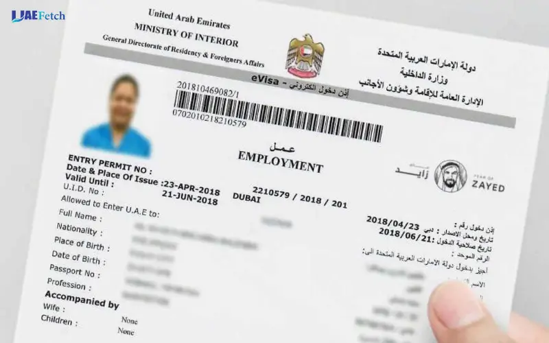 Document Verification