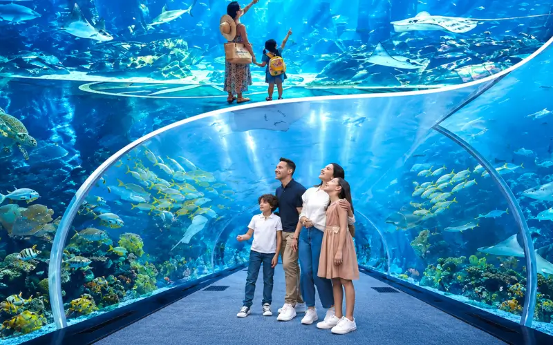 Dubai Aquarium