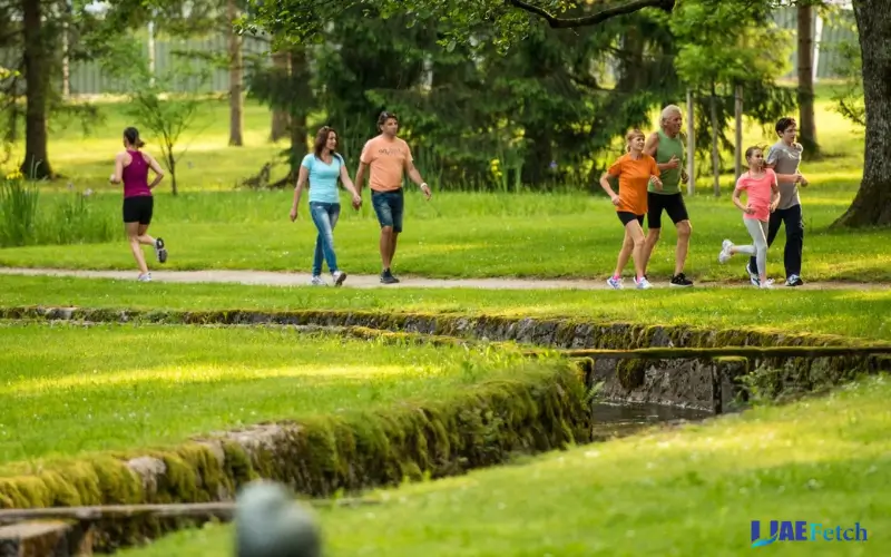 Walking and Jogging Paths